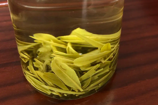 霍山黃芽屬于什么茶類，霍山黃芽屬于黃茶嗎