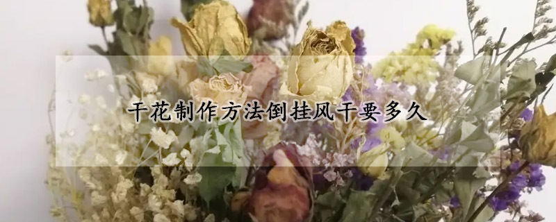 干花制作方法倒掛風干要多久