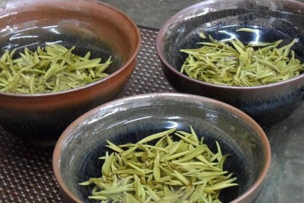 廬山云霧茶屬于什么茶，廬山云霧茶是哪種茶