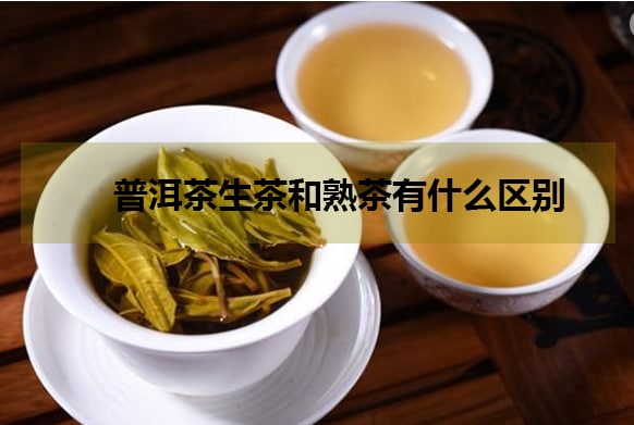 普洱的生茶和熟茶有什么區(qū)別