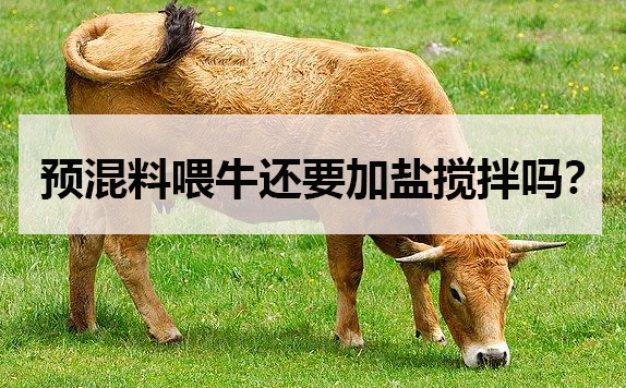 預(yù)混料喂牛還要加鹽攪拌嗎？