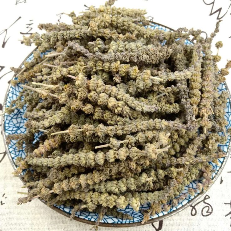 荊芥為什么叫貓薄荷呢？有什么藥用價值？