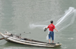 <strong>6指粘網一般捕多大魚？不同粘網的捕魚范圍</strong>