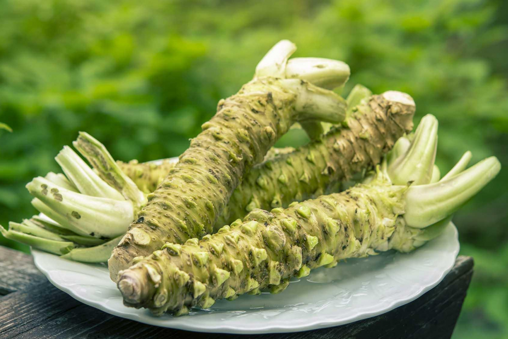 山葵和芥末的區(qū)別，兩者分別有那些特點(diǎn)？