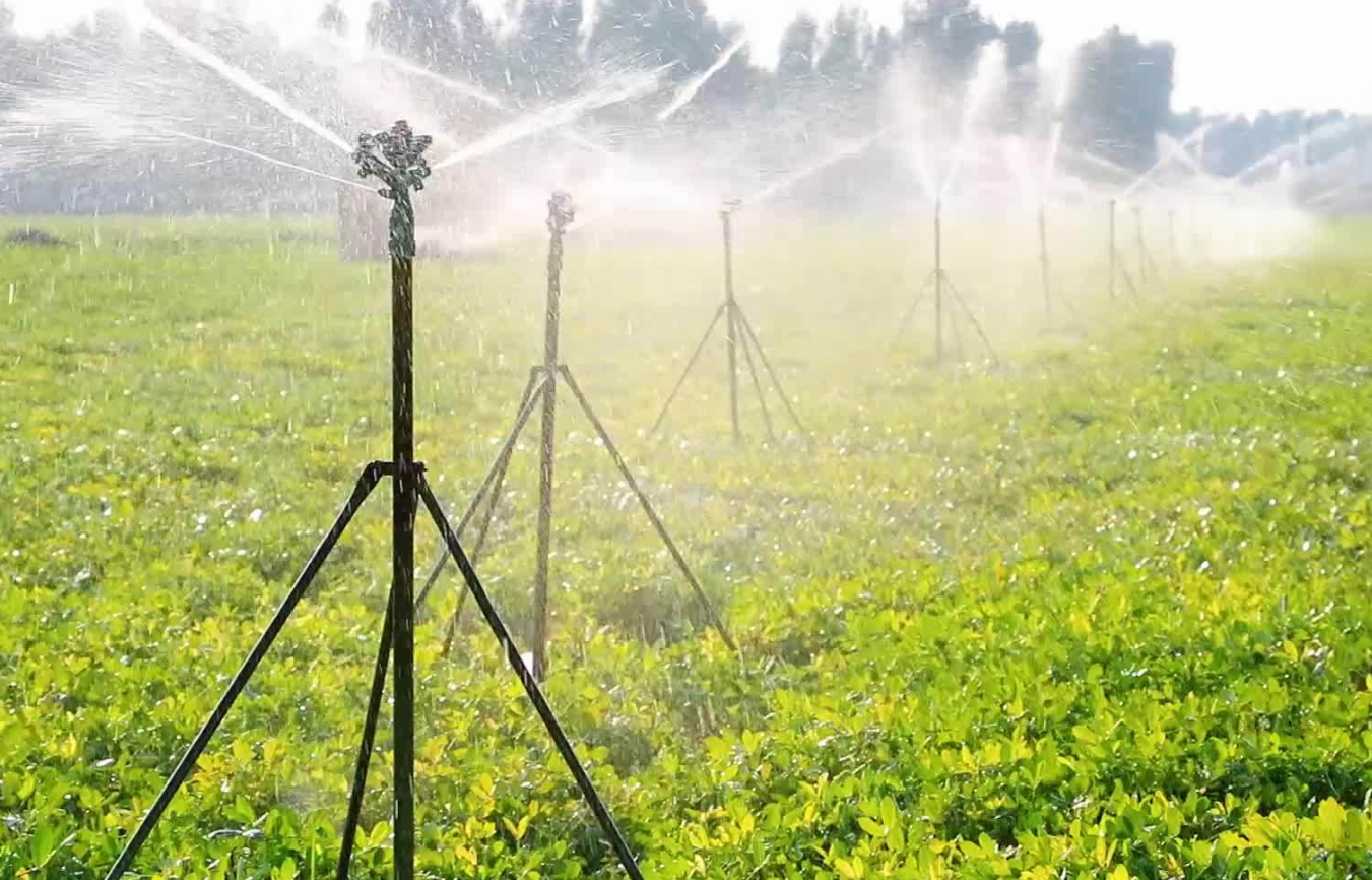 塑膜日光溫室微噴灌系統的作用介紹