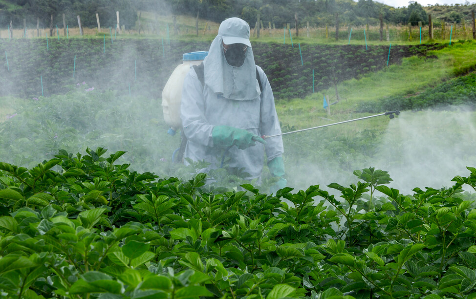  生物殺蟲劑如何應用？會存在什么問題？