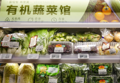 <strong>有機食品的相關概念指的是什么？</strong>