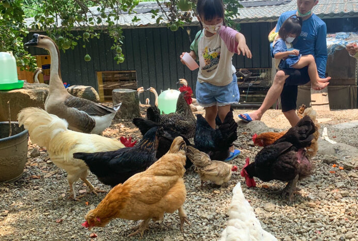 有機生產對禽畜的飼養方式，飼養管理有哪些具體的要求？