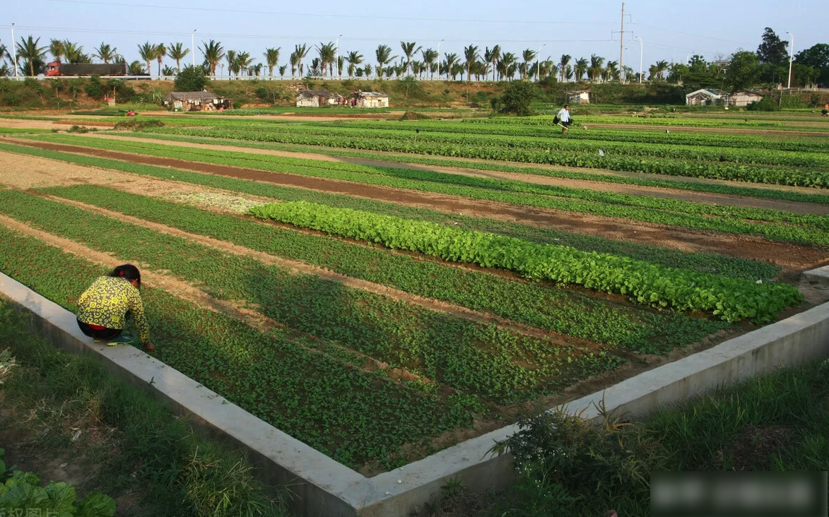 人類活動(dòng)對(duì)農(nóng)業(yè)產(chǎn)生了哪些積極或消極的影響？