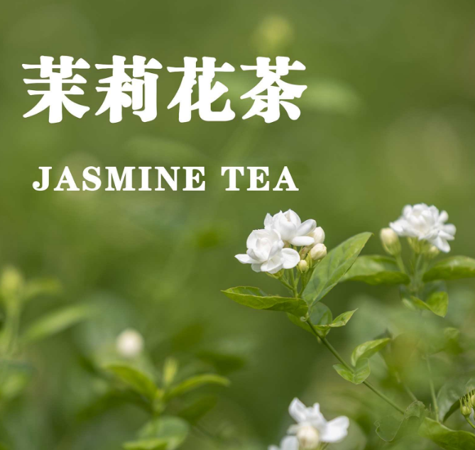 茉莉花茶是綠茶嗎？