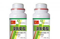 <strong>溴氰菊酯可以消滅蟑螂嗎，使用過程中需要注意什么?</strong>