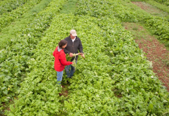 <strong>植物基因工程轉座子標記法是什么?</strong>