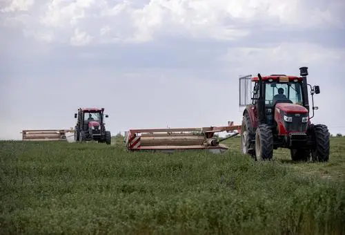 <strong>牧草收割機各類機型的優勢，找出最適合你的收割伙伴！</strong>