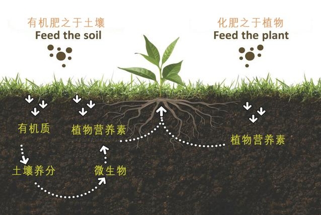 有機(jī)質(zhì)肥料全解析：從動(dòng)物糞便微生物到農(nóng)作物秸稈，多元化補(bǔ)充土壤養(yǎng)分