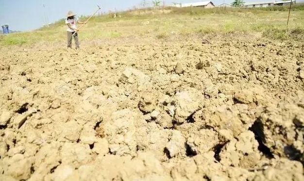 種植土壤惡化危機，減少化肥依賴，守護土壤生命力