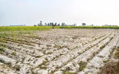 種植土壤惡化危機(jī)，減少化肥依賴，守護(hù)土壤生命力